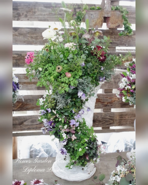 InShot_20220228_190534639