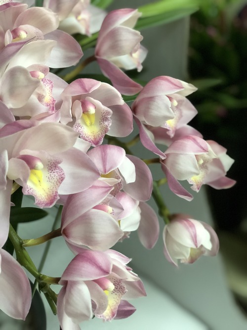 1448C453-FFCD-4042-9F56-3A24EFD0738A