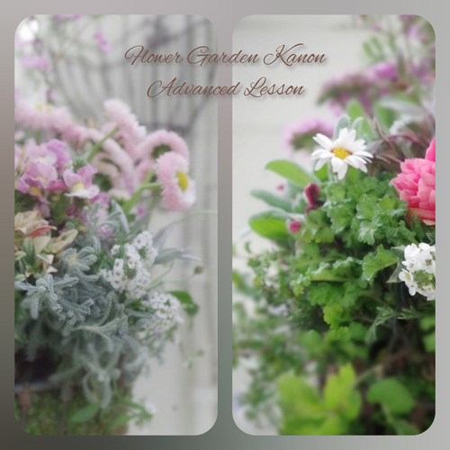 InShot_20220314_160708978