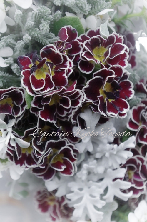 InShot_20220124_144038077