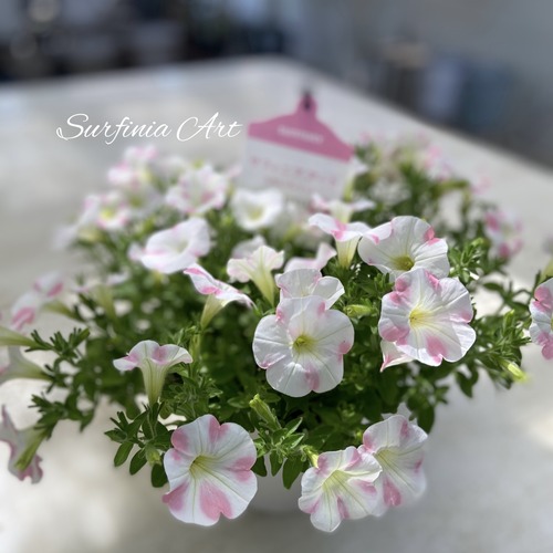 FAC0ED1C-E416-4C78-A2A8-54906E16AFFF