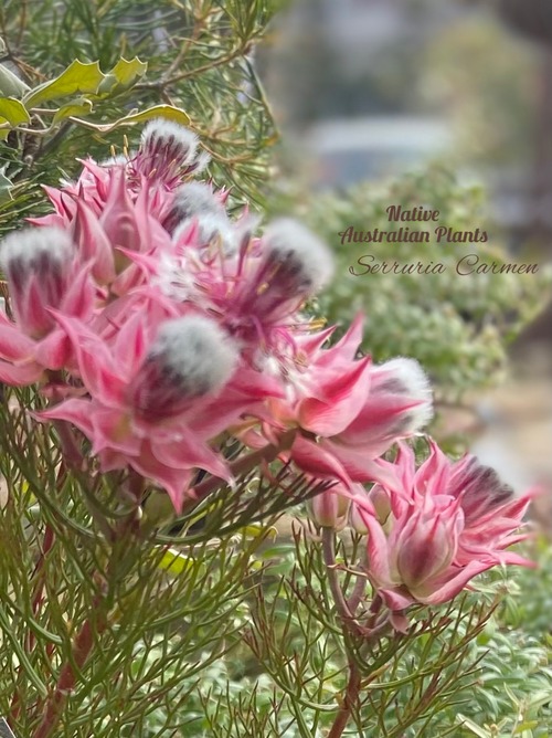 3D0A5764-2C7F-49D7-A8EB-6A2B12FD1911