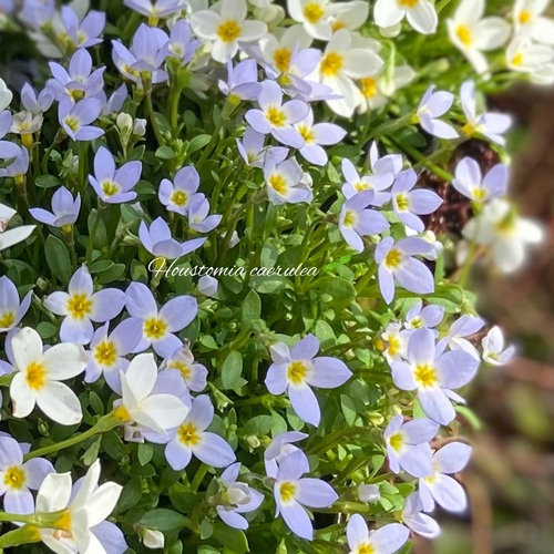 BBFF8FDE-96C4-43BE-8AFC-B430B3D30121