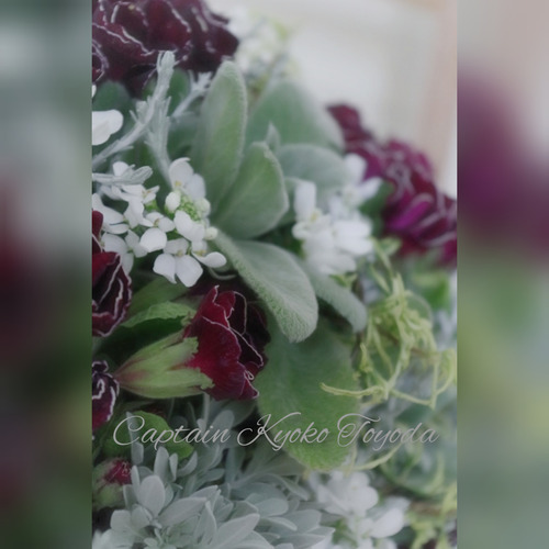 InShot_20220127_135419893