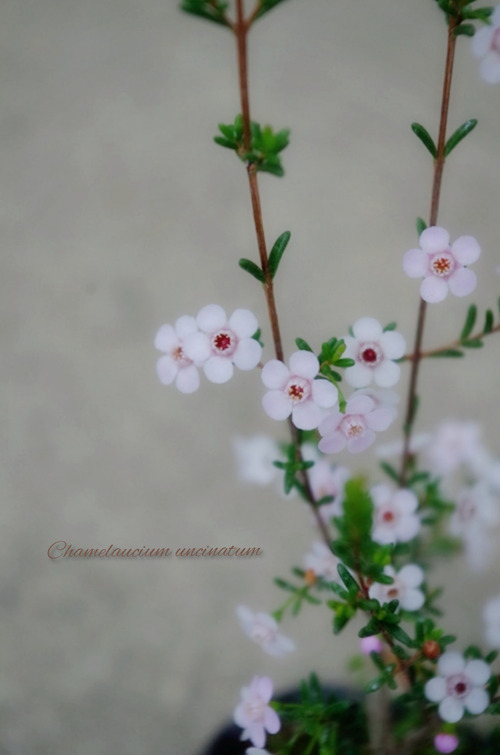 InShot_20220221_210715819