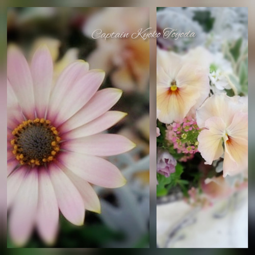 InShot_20220217_122032047