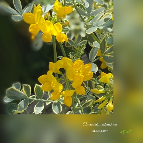 CB16EE60-A6F9-45A6-BB11-5B572C9DCE98