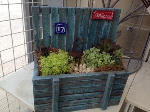 多肉植物のミニチュアガーデン フラワーガーデン花音