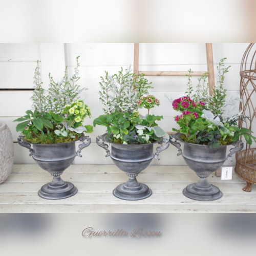 InShot_20220207_200903187