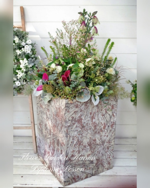 InShot_20220228_190324519