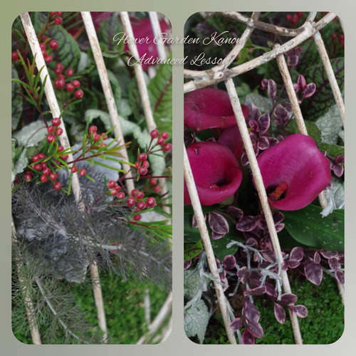 InShot_20220315_144641348