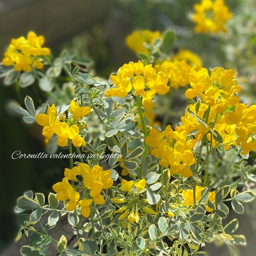 9F0FA76B-615B-4E7C-97E2-EA09DE764E03