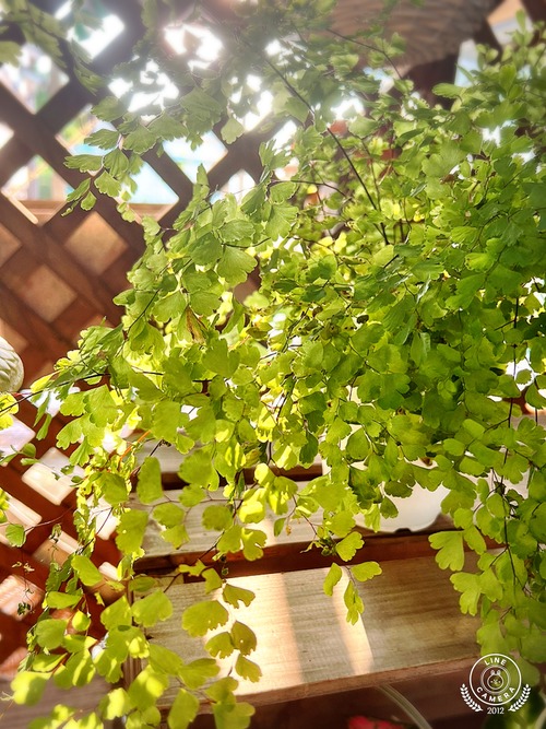 5CF45C7E-A749-493F-8534-B91EBD3CEB33