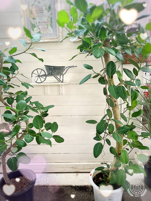 C32F8821-0712-4E03-AC6B-64FD9E1D5195