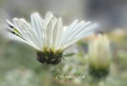 4B29D478-3A25-40B5-A579-168B6CAFBBBC