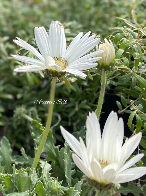 66CDF0B5-A487-4251-973A-648676939B92