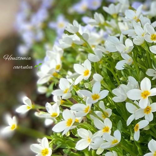 7DD6E619-26A4-4821-B627-4173DFFAC7F4