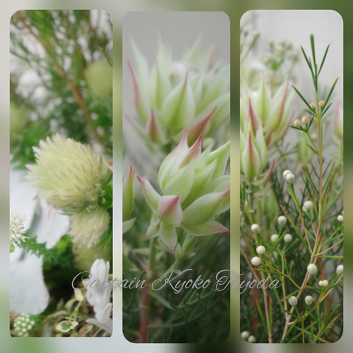 InShot_20220131_190005156