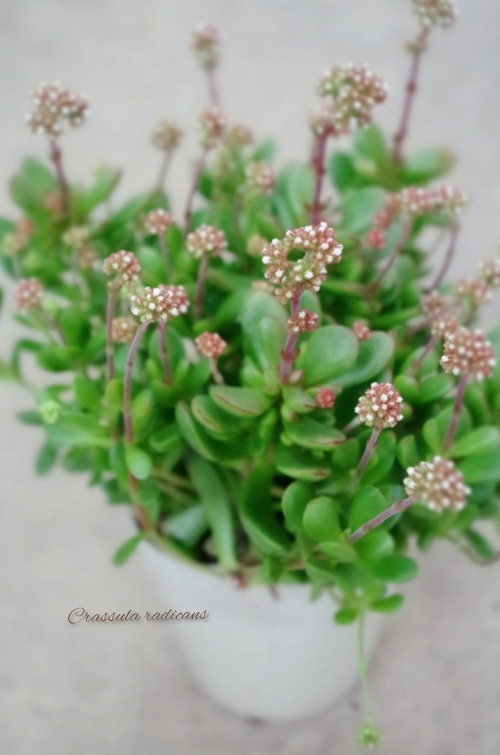 InShot_20220222_161729465