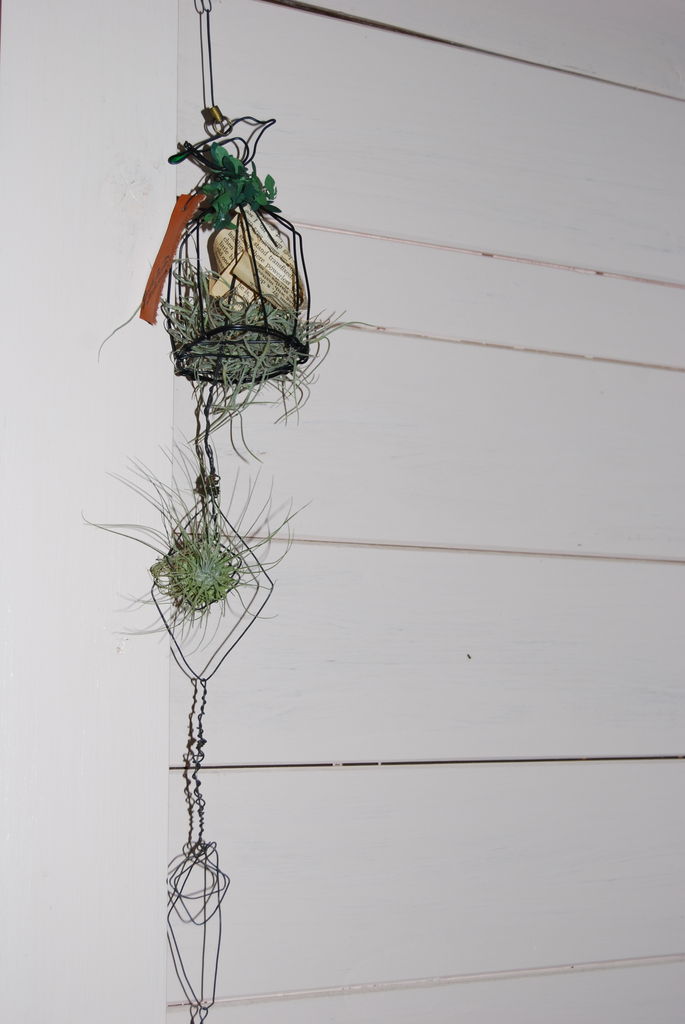 エアープランツとワイヤークラフト フラワーガーデン花音