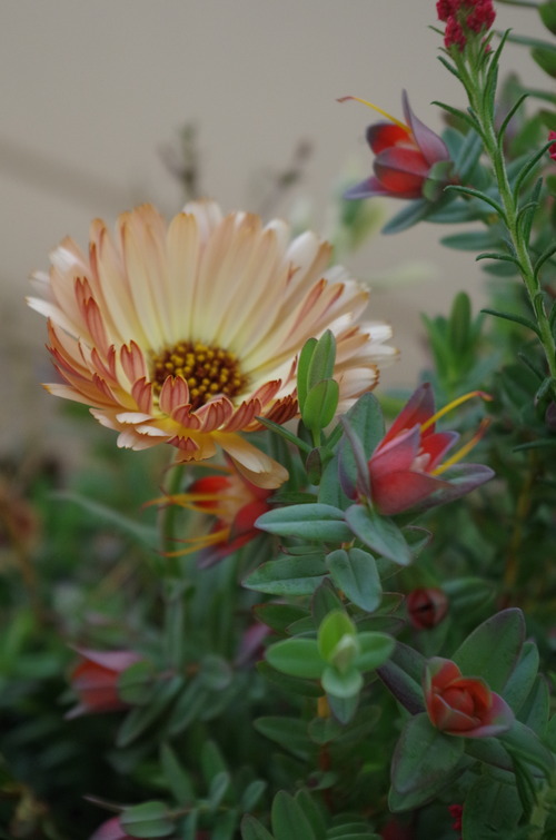 IMGP0649