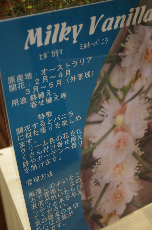 IMGP2957