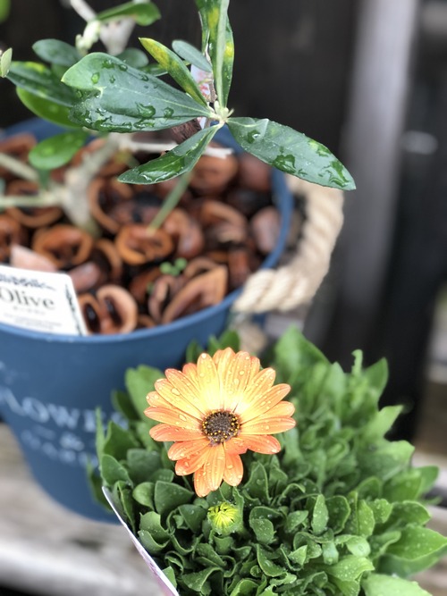 FF3982B3-0E71-46DD-9399-8FC342063482