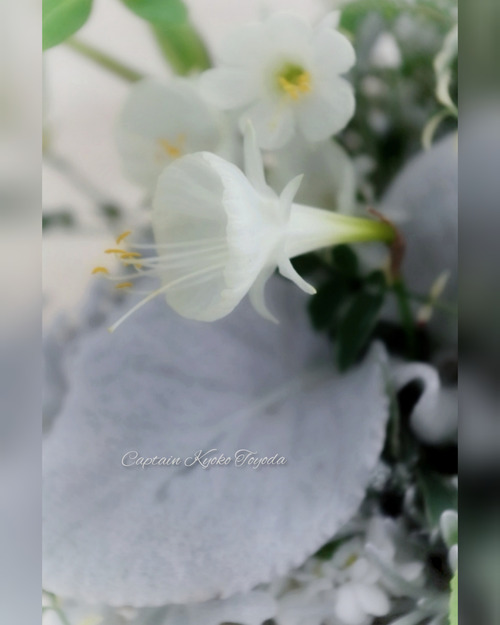 InShot_20220210_201212362