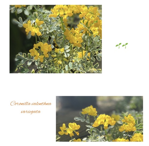 C02CFB42-C3A5-4982-A11F-25CCD9EF95E6