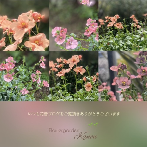 416F537D-C110-4075-996C-3B85DC79BD0D