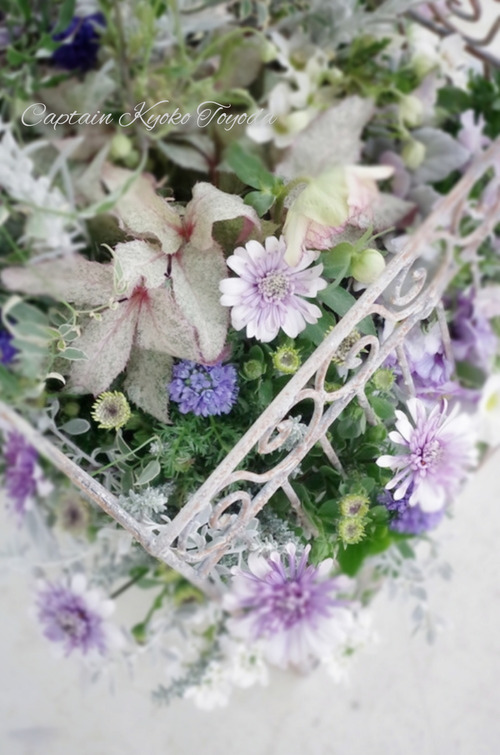 InShot_20220312_174001444