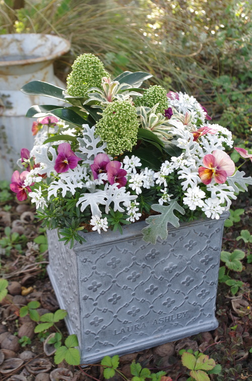 IMGP0732