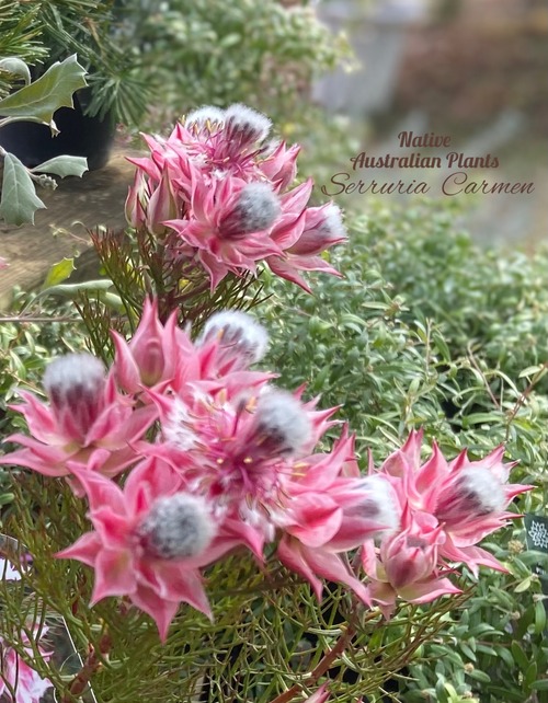 654E9358-7167-476B-862D-75C1429FA9C0