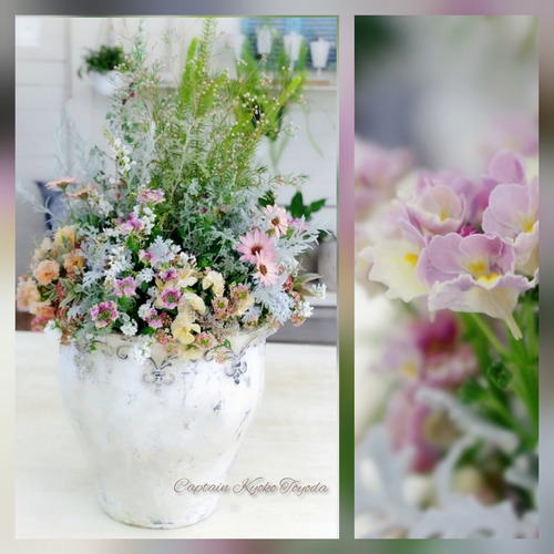 InShot_20220217_122709622