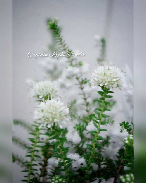 InShot_20220210_201140501