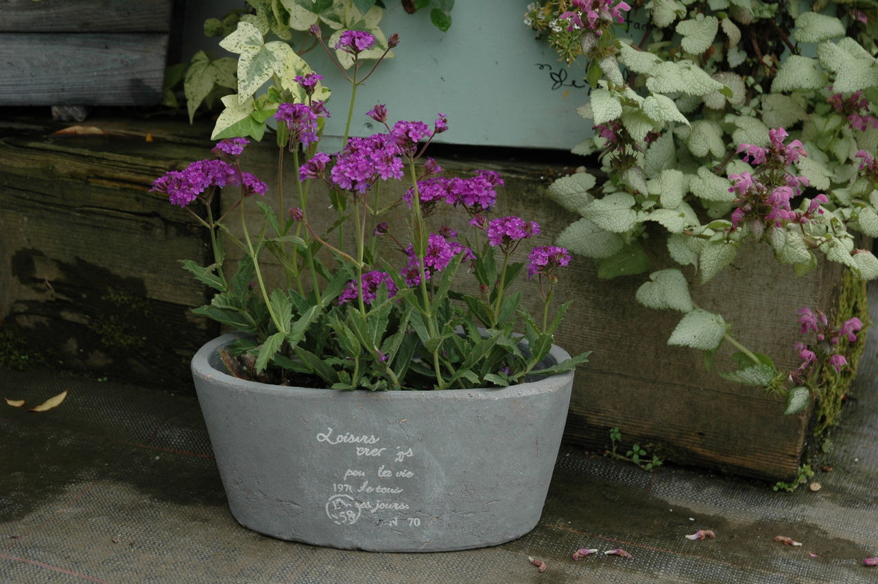 新着情報 フラワーガーデン花音