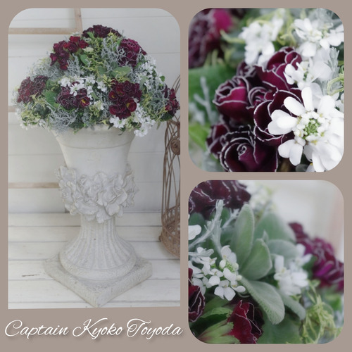 InShot_20220127_134720447