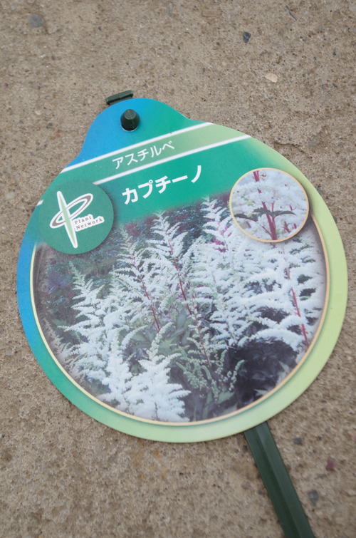 IMGP5705
