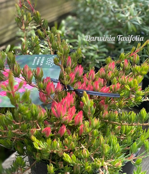 D2B5F9D6-A19F-42E3-86A1-DFBF2B9148C0