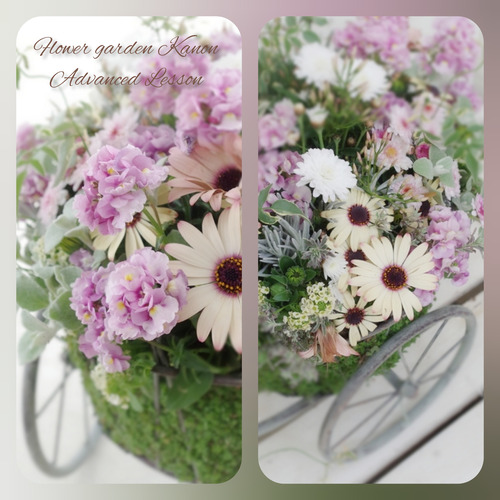 InShot_20220314_161200209