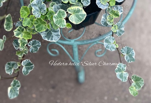 BA2EF5B9-E6DB-4520-9F05-AB227ACC514C