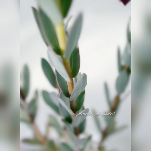 InShot_20220219_123441438