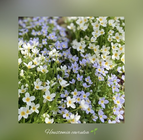 BC4C80A9-BAD0-43BE-8726-B24BDCCD15CA