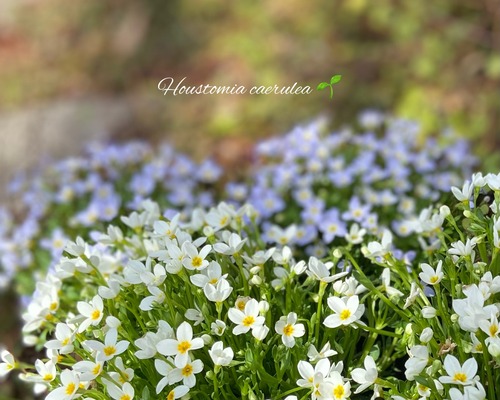 AE2B2612-18B0-45C2-BFD0-4FD2E1CF725A