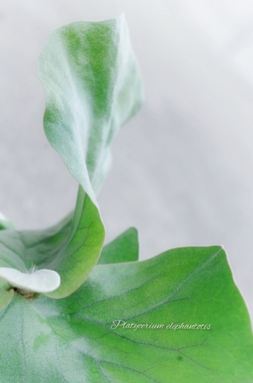 InShot_20220217_152534526