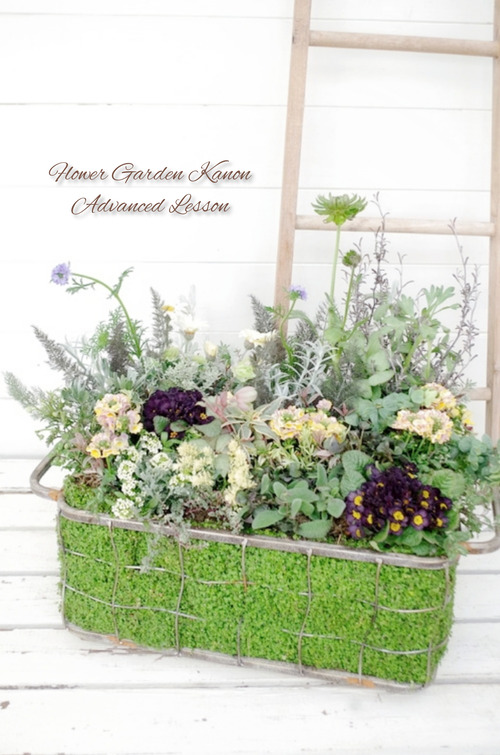 InShot_20220315_171126867