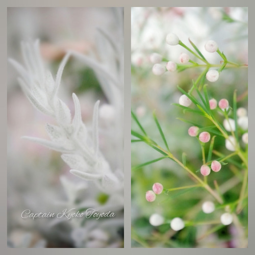 InShot_20220217_120803893