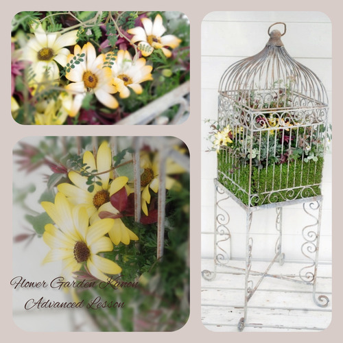 InShot_20220315_172331716