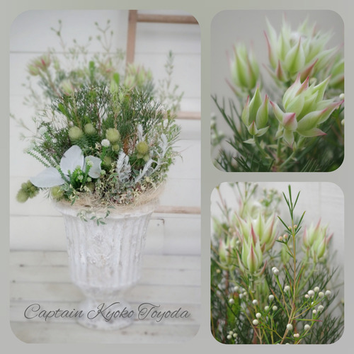 InShot_20220131_191006006