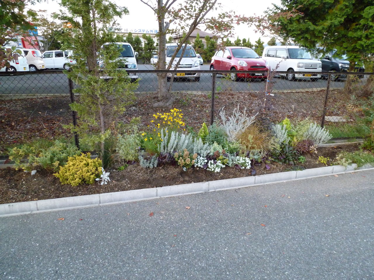 秋冬の花壇作りは続く フラワーガーデン花音